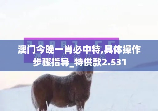 澳門(mén)今晚一肖必中特,具體操作步驟指導(dǎo)_特供款2.531