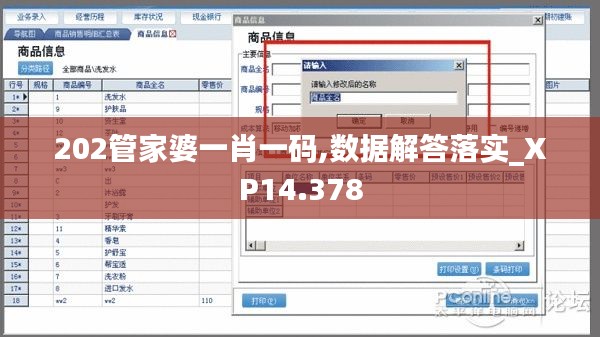 202管家婆一肖一碼,數(shù)據(jù)解答落實_XP14.378