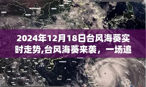 臺風?？麃硪u，追尋自然寧靜的奇妙旅行實時走勢（2024年12月18日）