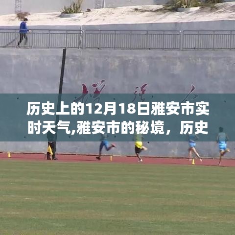雅安市歷史天氣探索，秘境中的十二月十八日實(shí)時(shí)天氣之旅