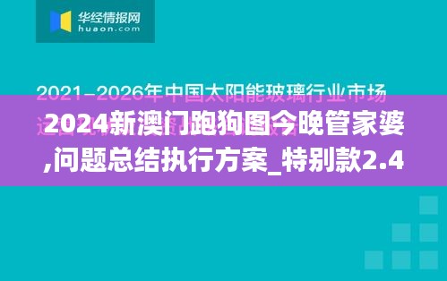 2024新澳門跑狗圖今晚管家婆,問題總結(jié)執(zhí)行方案_特別款2.411