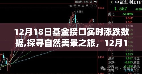 揭秘基金實時漲跌背后的故事，探尋自然美景之旅的啟示（12月18日）