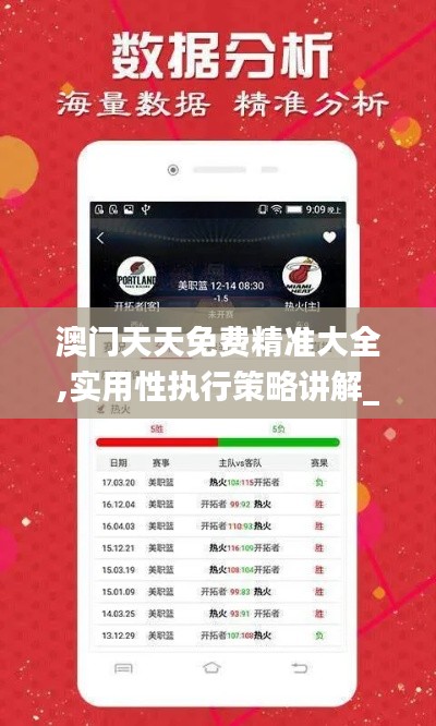 澳門天天免費精準大全,實用性執(zhí)行策略講解_進階版13.420