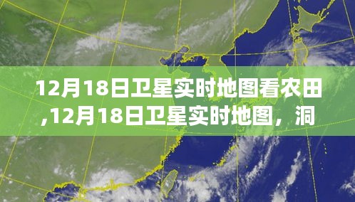 12月18日衛(wèi)星實時地圖揭示農(nóng)田冬季面貌
