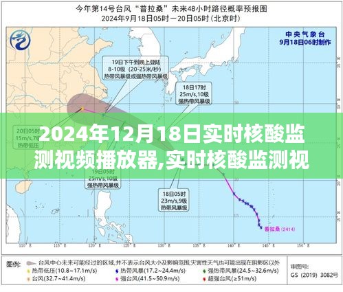 實(shí)時(shí)核酸監(jiān)測視頻播放器深度解析與用戶體驗(yàn)報(bào)告，功能、性能及用戶體驗(yàn)一網(wǎng)打盡（2024年12月版）