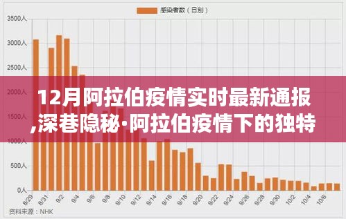 阿拉伯疫情最新通報與獨特風(fēng)味體驗，深巷隱秘中的故事