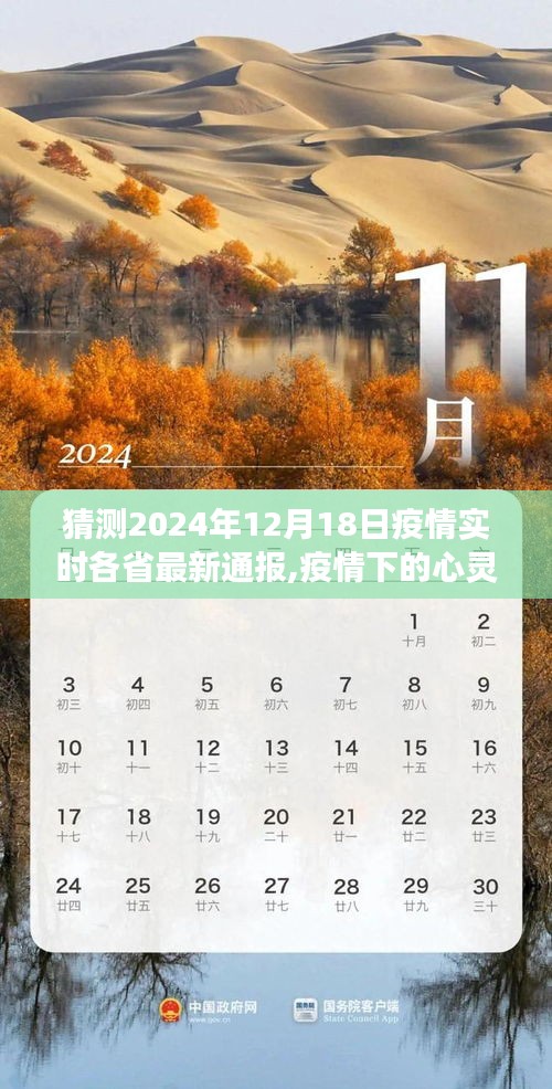 疫情下的心靈之旅，預(yù)測未來，擁抱自然美景的奇妙探險之旅——2024年疫情實(shí)時通報