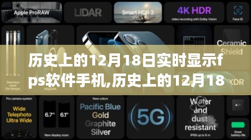 張皇鋪飾 第4頁