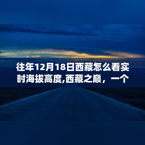 西藏之巔，友情、高度與溫馨的實時海拔高度日常故事