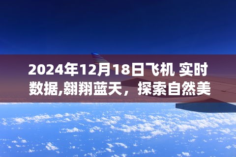 藍(lán)天之旅，探索自然美景的飛行數(shù)據(jù)紀(jì)實(shí)——2024年12月18日飛機(jī)實(shí)時(shí)數(shù)據(jù)