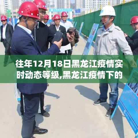 黑龍江疫情下的暖心日常，友情與陪伴的故事，歷年12月18日疫情實時動態(tài)等級回顧