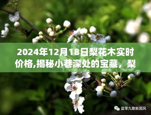 揭秘時光之木特色小店，梨花木價格風向標，2024年最新實時價格揭曉