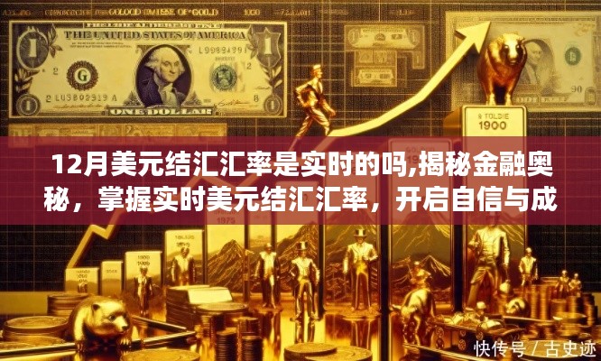 揭秘金融奧秘，實時掌握美元結(jié)匯匯率，開啟自信成就之旅