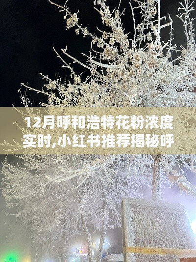 大雅君子 第4頁(yè)