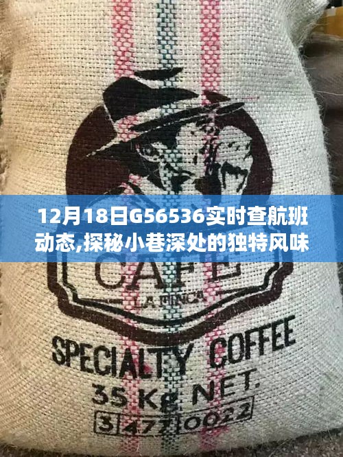 探秘隱藏小巷的獨特風(fēng)味與G56536航班背后的故事，一家神秘小店的探索之旅