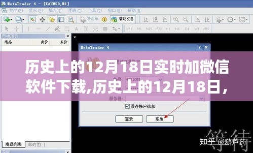 展翅高飛 第3頁