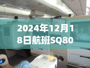 2024年12月18日航班SQ802實時動態(tài)查詢與追蹤，掌握行程細(xì)節(jié)！