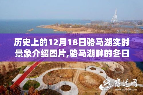 駱馬湖畔的冬日奇遇，追尋歷史中的溫暖瞬間與實時景象介紹圖片