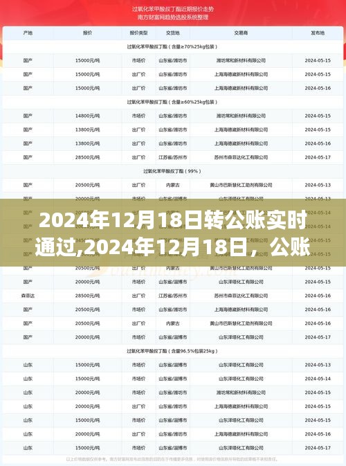 心靈之旅啟程日，公賬實(shí)時(shí)轉(zhuǎn)賬紀(jì)念與未來展望