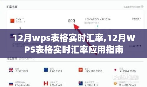 12月WPS表格實(shí)時(shí)匯率應(yīng)用指南，操作指南與實(shí)時(shí)更新功能解析