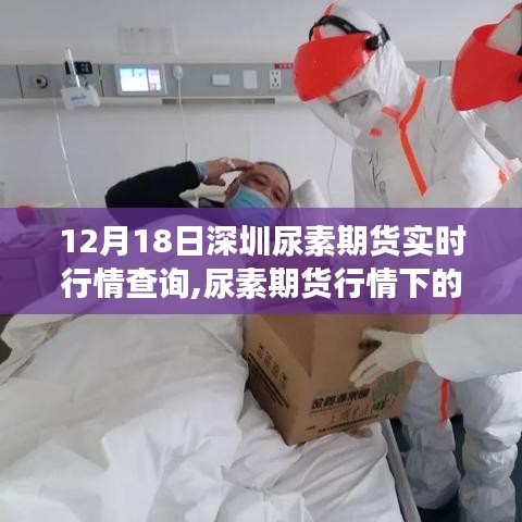深圳尿素期貨實(shí)時(shí)行情與冬日自然美景探索的心靈之旅