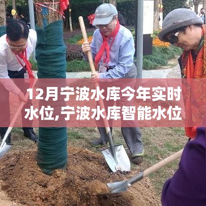 寧波水庫智能水位監(jiān)測系統(tǒng)，科技助力實時掌控水位新紀(jì)元