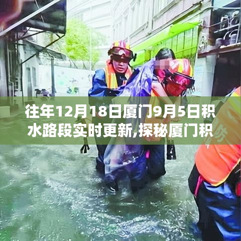 廈門積水路段實時更新，探秘特色小巷與奇趣小店