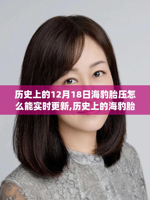 歷史上的海豹胎壓，實(shí)時(shí)更新的奇跡與科技進(jìn)步的見(jiàn)證者