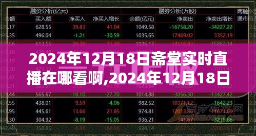 齋堂直播指南，如何觀看與討論2024年12月18日的齋堂實(shí)時(shí)直播