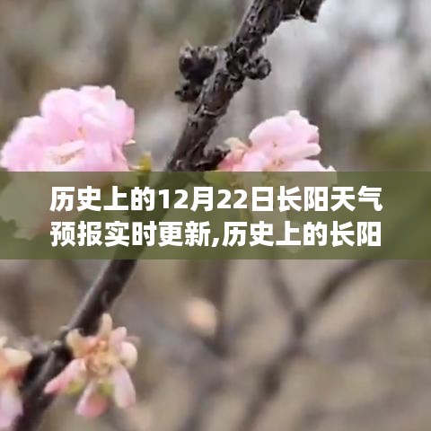 歷史上的長陽天氣預報探尋，數據背后的故事與變遷——實時更新中的歷史數據解析