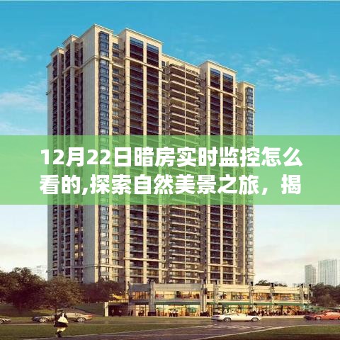 揭秘暗房下的秘密，實(shí)時(shí)監(jiān)控與自然美景探索之旅，內(nèi)心的寧?kù)o如何獲得？