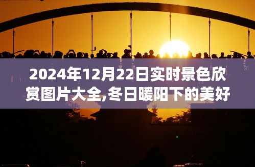 冬日暖陽下的美景瞬間，實時景色欣賞之旅，記錄美好時光，2024年12月22日實拍圖片大全分享