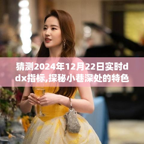 探秘小巷特色小店，預測2024年12月22日實時ddx指標之旅揭秘猜測與體驗分享