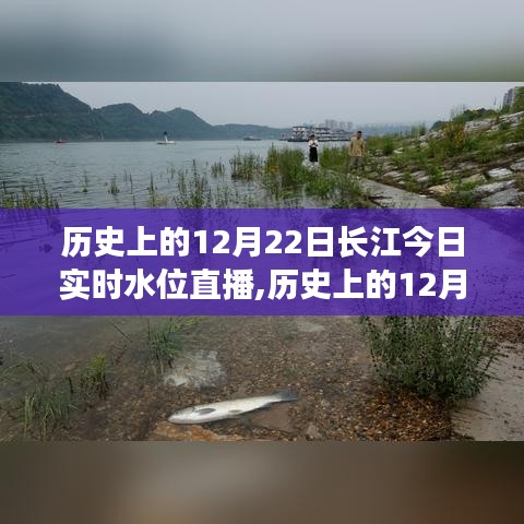 歷史上的12月22日長(zhǎng)江實(shí)時(shí)水位直播全面評(píng)測(cè)與介紹，今日水位直播及深度分析