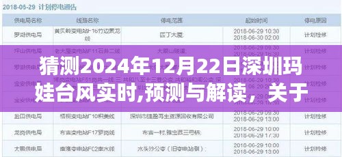 關(guān)于深圳瑪娃臺風(fēng)在2024年12月22日的實時動態(tài)分析與預(yù)測解讀