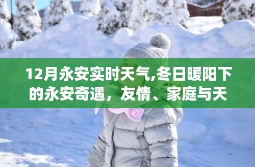 永安冬日暖陽下的奇遇，天氣與友家的美好交響曲