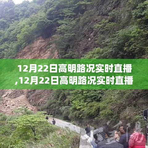 12月22日高明路況實時直播，輕松掌握路況信息，順暢出行