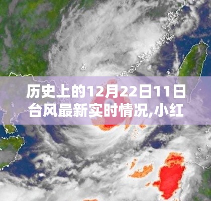 揭秘歷史日期中的臺(tái)風(fēng)風(fēng)云，第11號(hào)臺(tái)風(fēng)最新實(shí)時(shí)情況盡在小紅書(shū)掌握之中????