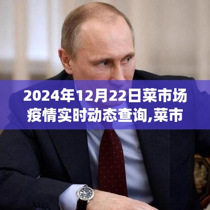 菜市場疫情實時動態(tài)觀察與反思——以2024年12月為例