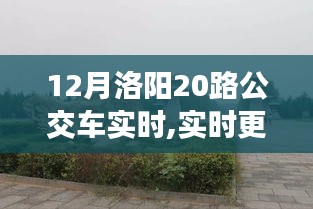 長安米貴 第3頁