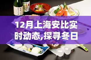 探尋冬日上海安比秘境，自然美景的心靈之旅實時動態(tài)
