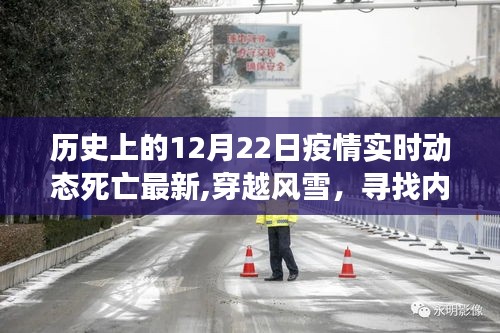 歷史上的十二月二十二日，疫情動態(tài)與自然的寧靜奇景之旅
