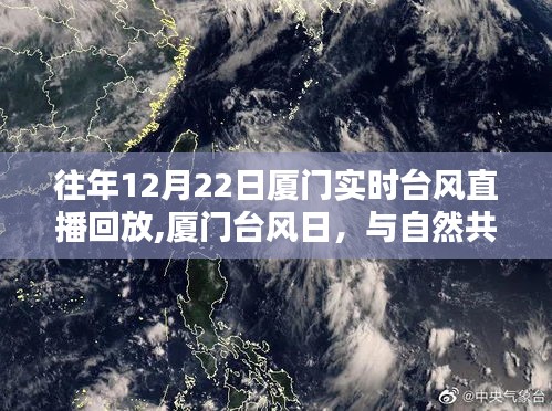 廈門臺風日，與自然共舞，尋找內心的寧靜港灣回放紀實