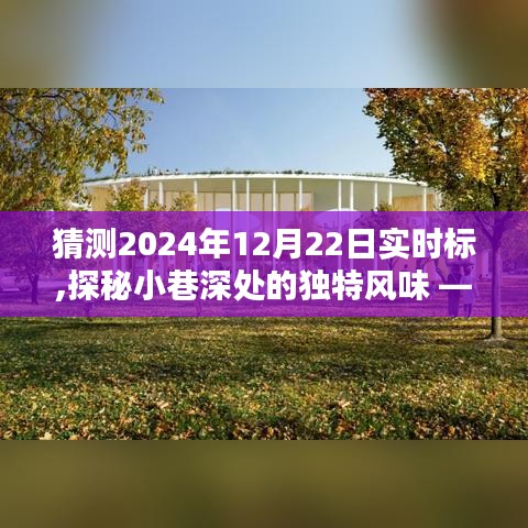 探秘時光巷弄，2024年12月22日實時標(biāo)下的獨特風(fēng)味小店揭秘