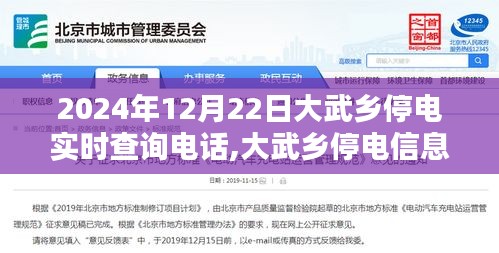大武鄉(xiāng)停電實時查詢指南，2024年12月22日查詢電話及步驟詳解