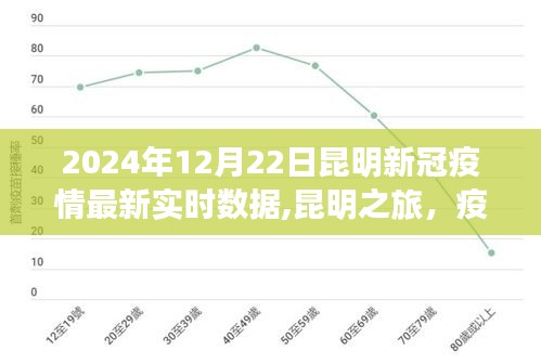 昆明新冠疫情最新實時數(shù)據(jù)下的綠洲之旅，尋找內(nèi)心的寧靜與力量