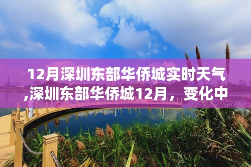 深圳東部華僑城12月實時天氣與變化中的學習之旅，自信與成就感的陽光照耀