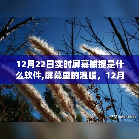 捕捉時(shí)光的軟件故事，屏幕溫暖背后的秘密