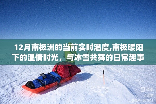 南極洲12月實時溫度揭秘，暖陽下的溫情時光與冰雪生活的日常趣事