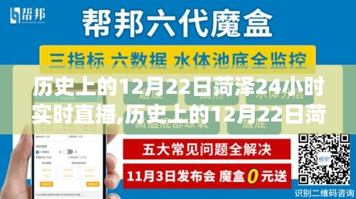輕徙鳥舉 第3頁